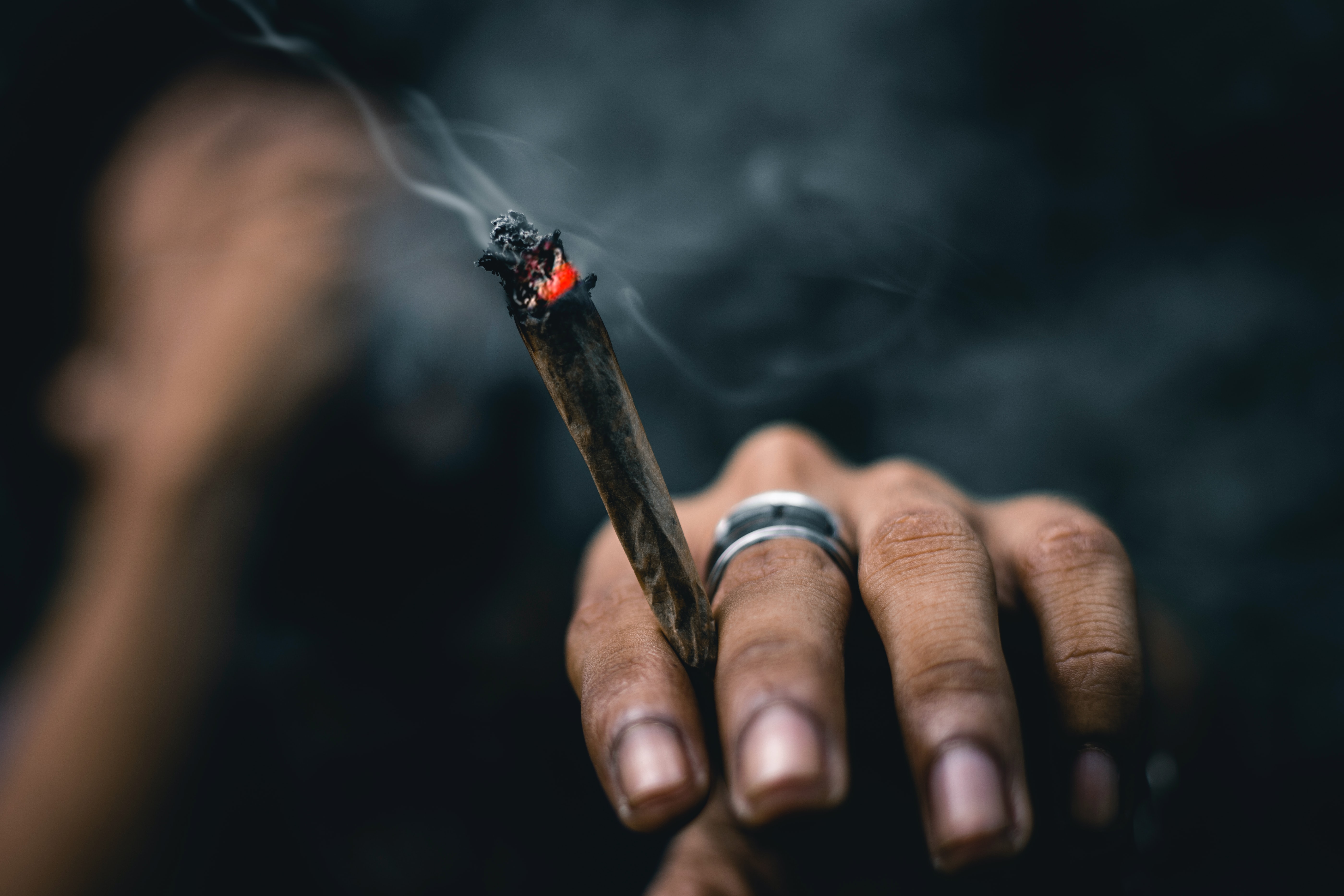 Marijuana Smell Alone is Back! Marijuana Enforcement in Florida - A