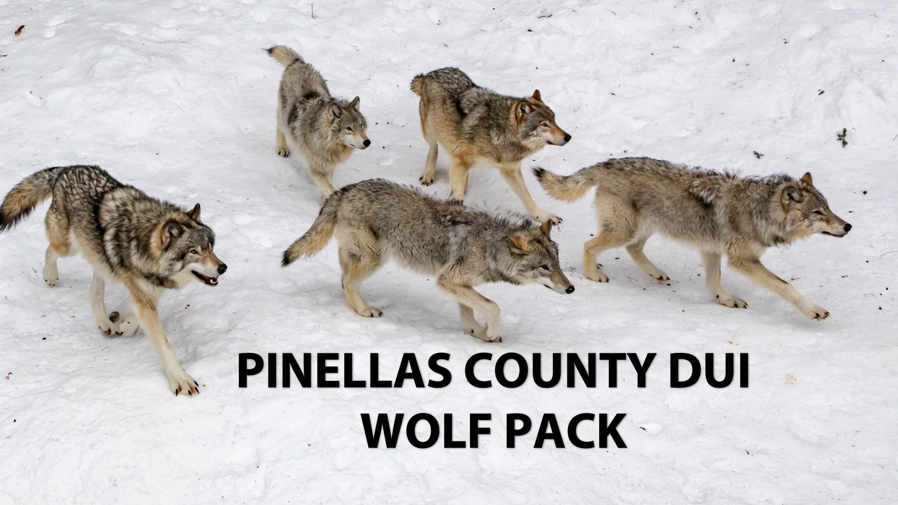 4th of July Weekend DUI Wolf Pack Operation Set for July 23, 2022