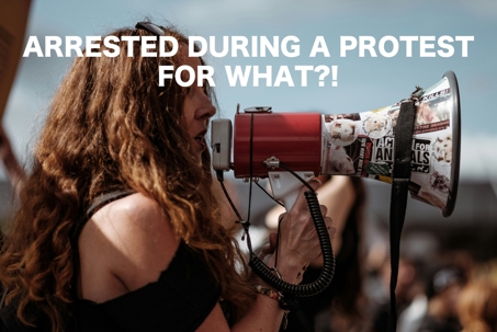 Arrested During A Protest