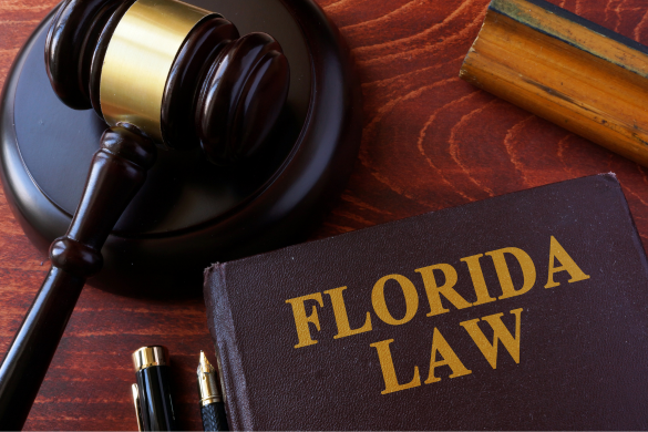 Florida&rsquo;s Stand Your Ground Laws in Domestic Violence Cases